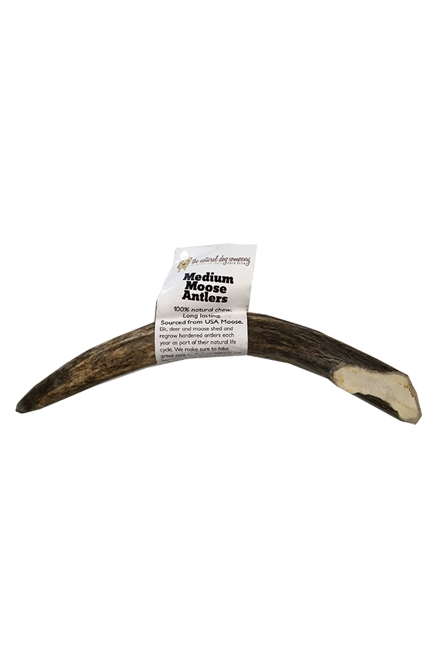 Natural Dog Co. Moose Antler, Medium